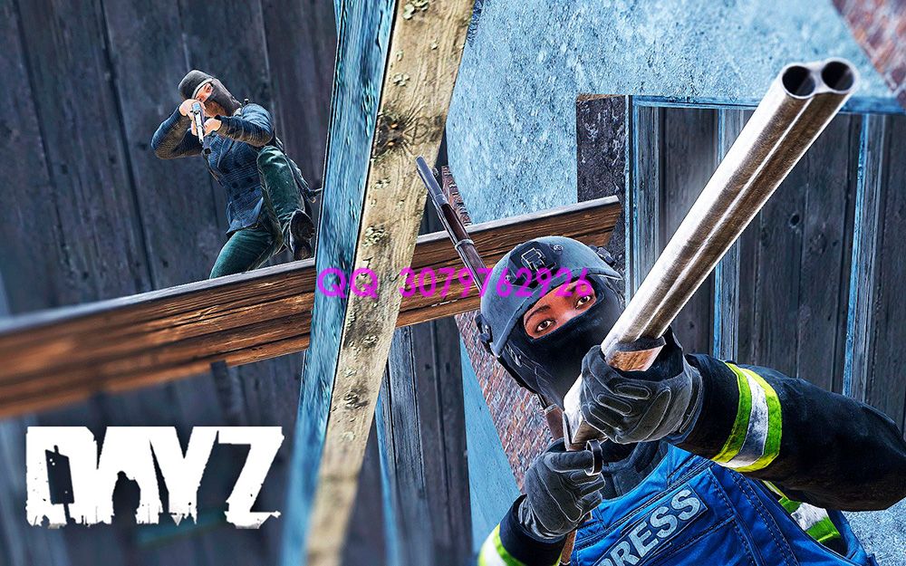 DayZ阿尔法辅助全面解析：提升生存率的秘密武器！