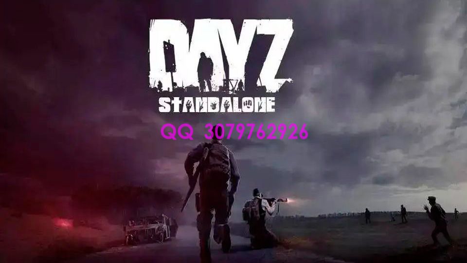 提升DayZ体验的独特制作方案